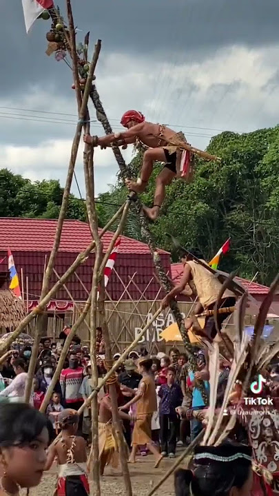 Ritual Naik Manau (Pohon Berduri)
