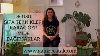 Dr. USUİ ŞİFA TEKNİKLERİ / USUİ REİKİ RYHO / KARACİĞER-MİDE-BAĞIRSAKLAR