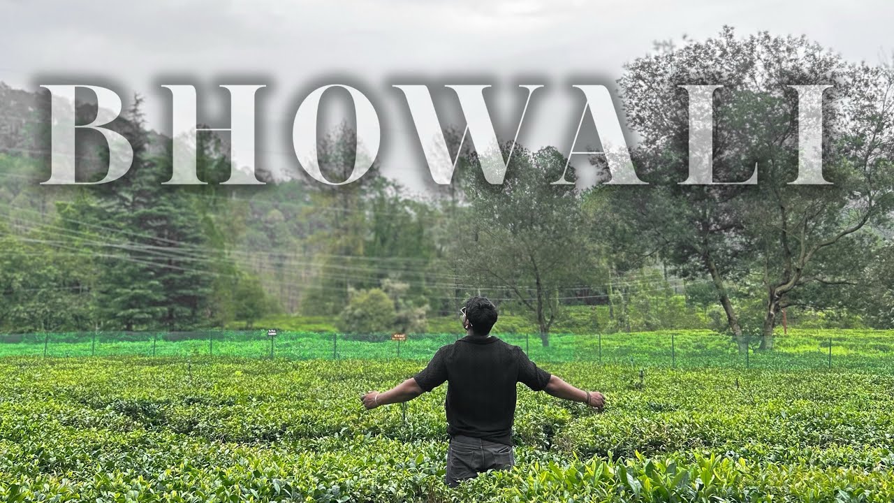 Bhowali Diaries Day 2: Exploring Tea Gardens & Golu Devta Temple 🛕