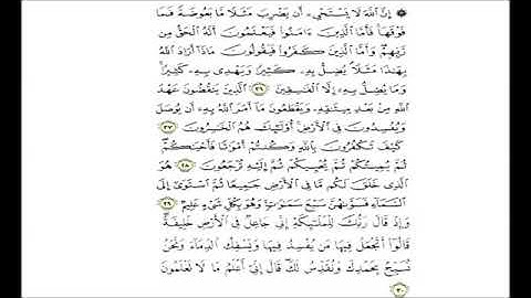 Learn QURAN Al-Baqarh 26-30 (auswendig) - حفظ سورة البقرة من الآية 26 الى 30 مكررة