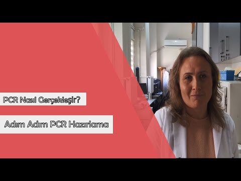 Video: PCR ürününü sıralayabilir misiniz?