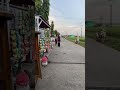 Subang Pagi Hari: Suasana Desa yang Menenangkan (ASMR Walking) #asmr #walkingvlog #subang #pantura
