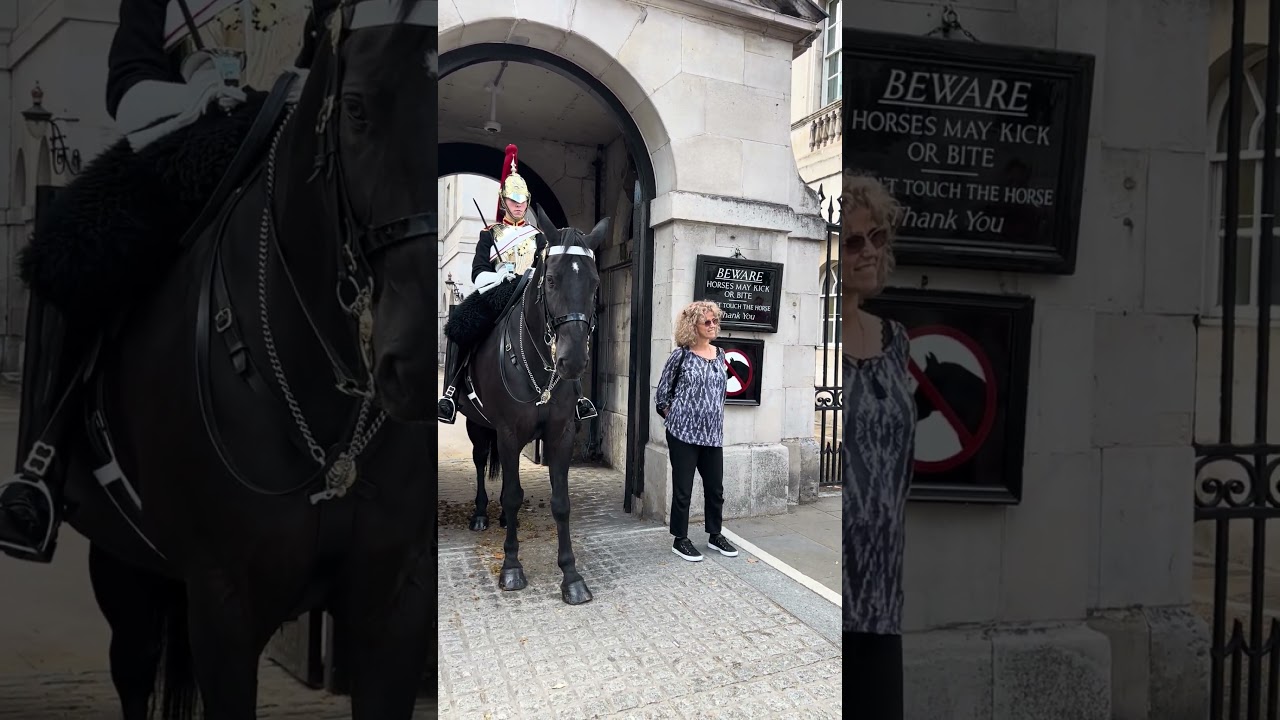 Guard Never Moves 😐