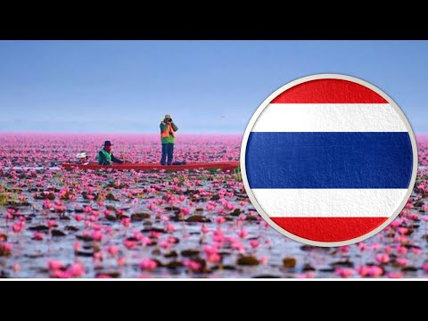 Vídeo: Os cinco destinos mais subestimados da Tailândia