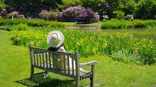 2024 春日遛娃Dumbosummitonenybg Oldwestbury