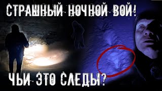 Чей это вой у заброшенной ГЭС? Сняли нечто? Чьи это следы? Одни вопросы. Ночной дозор! (2 часть)