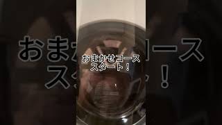 パナソニックのドラム洗濯機！NA-LX127CL/R レビュー アプリ通知が神すぎる！