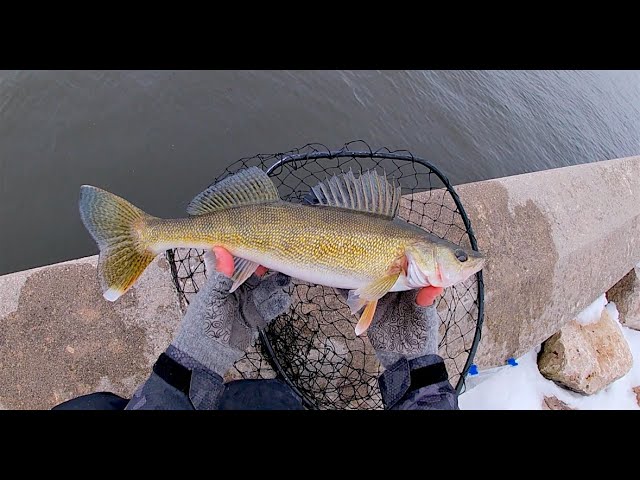 How to Catch WALLEYE on a Fishing Kayak 