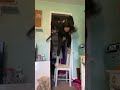 POV:a chair that doesn’t do any work 🤣🪑#fyp #tiktok #funny #lol #omg