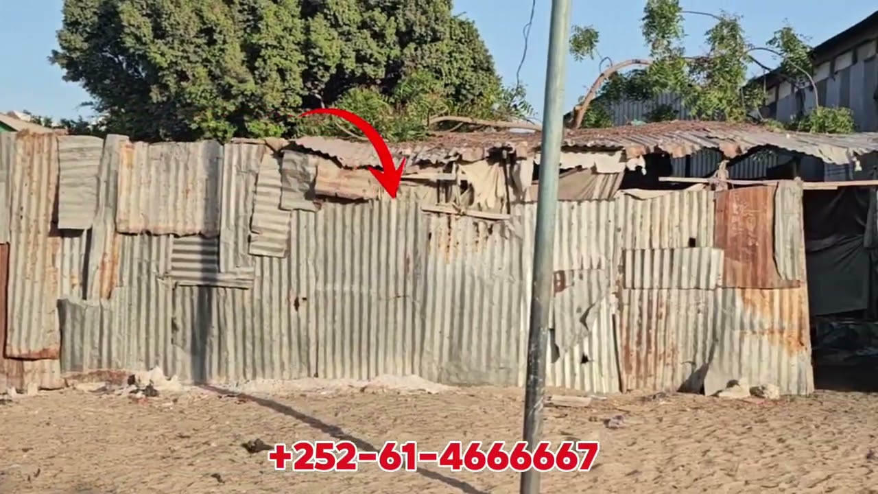 2 boos oo qiimahoodu hooseeyo 