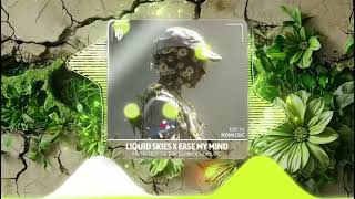 Liquid Skies & Ease My Mind I UtHieu Remix | Music hot Tik Tok | Nd Music