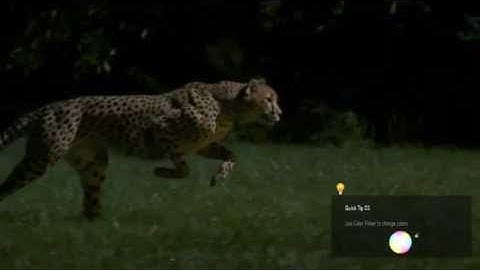 Quick Tips | VideoHive Templates | After Effects Project Files