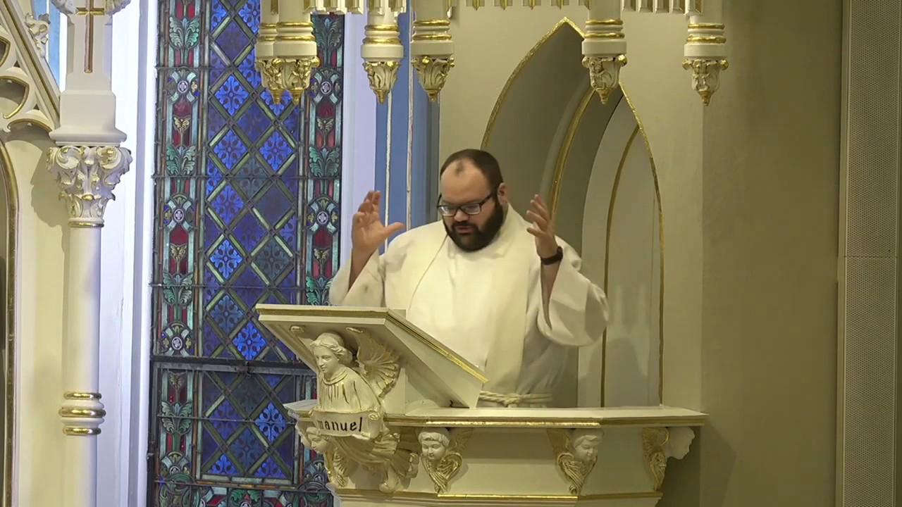 Sermon: "What Does It Mean to Follow Jesus?" - Immanuel Lutheran St. Charles