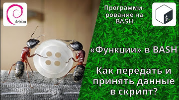 Функции на BASH. Как передать значение скрипту BASH и получить значение переменной из скрипта BASH?
