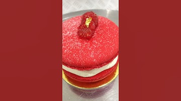 raspberry macarons with fresh raspberry