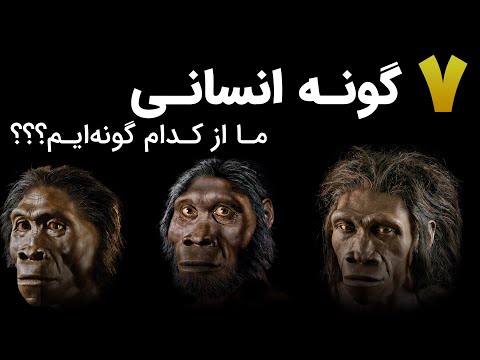 تصویری: آیا نئاندرتال ها می توانند صحبت کنند؟