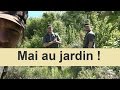 Que faire au jardin en mai 