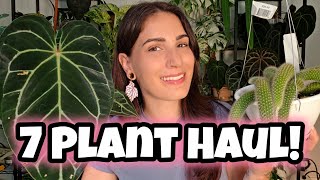Vacation Plant Haul + Halloween Plant Earrings Unboxing! 🦇
