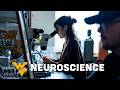 Neuroscience at WVU