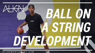 Ball on a String Development - Level 6