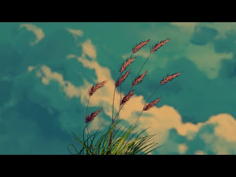 Animators recreate NATURE