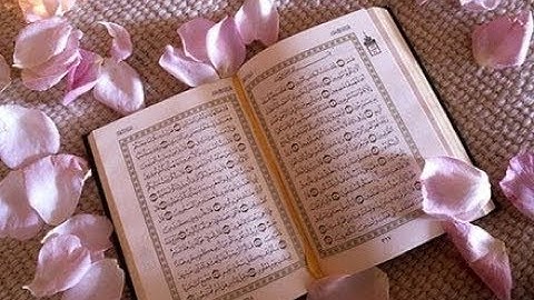 سورة الحج القارئ محمد القصطالي Récitation du Coran sourat al-haj