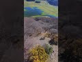 Laceno #drone #dronecinematic #fpv #travel #dji