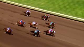 2025 ALL AMERICAN DERBY QUALIFIER HOLY PETE 2ND FASTEST