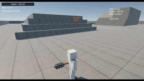 Voxel Player Controller_Camera