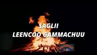 Leencoo Gammachuu Saglii Lyrics new Ethiopian Oromo music 2021