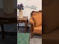 Luxury Sofa Setup-