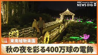 400万球の電飾が夜を彩る　イルミネーション全国3位の東南植物楽園で点灯式