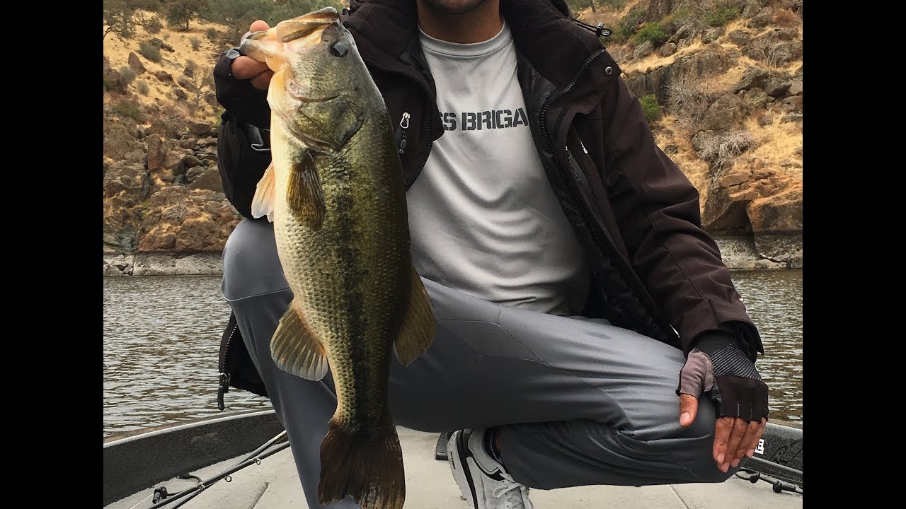 TULLOCH FALL JIG FISHING YouTube