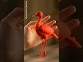 Squeezing an ASMR Clay Box | Red bird - Great and Satisfying Sounds (00:09 seconds)