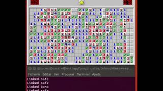FPRO 2018/19: Automatic solver for Minesweeper
