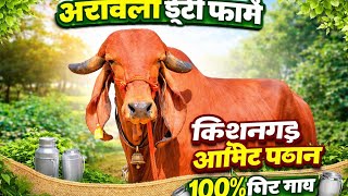 Aamir pathan Kishangarh cow seller aravali dairy  is live 94147-45465