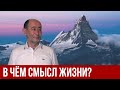 В чём смысл жизни? (Александр Бузгалин)