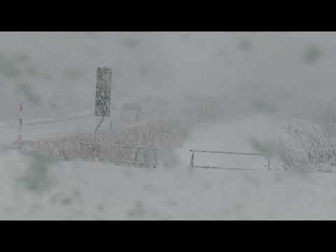 ウェザーリポート動画0204(ドカドカ雪)@秋田県由利本荘市(12:15頃)