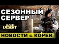 BDO: Сезонный сервер - что там будет? Новости Black Desert (Корея)