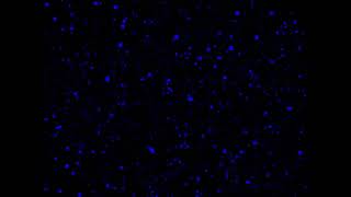 Clara La San - Gravity (Slowed & Reverb)