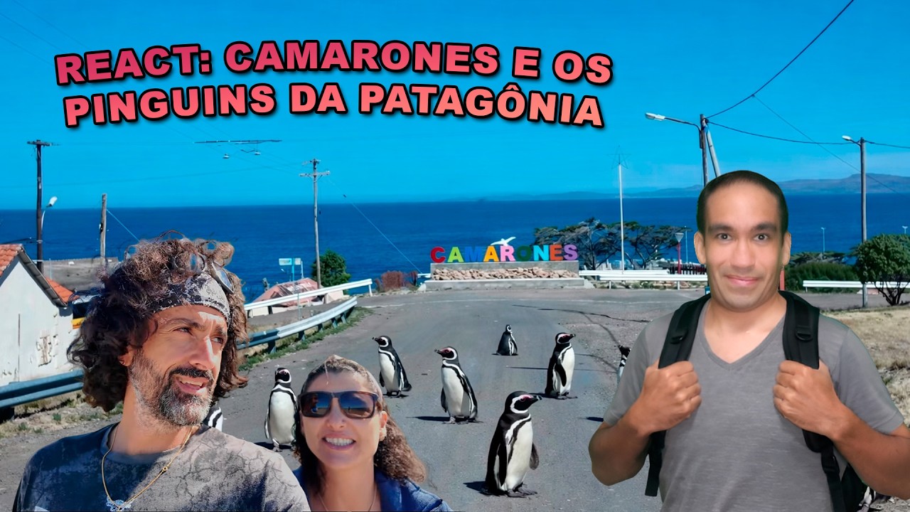 O LUGAR MAIS LINDO DA ARGENTINA? ❤️ React: Visitando os Pinguins de Magalhães em Camarones!