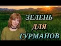 Травные, Пряные Ароматы для Гурманов | Необычные травно-пряные ароматы