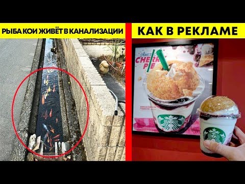 12 ФОТО, ДОКАЗЫВАЮЩИХ, ЧТО ЯПОНИЯ - УНИКАЛЬНАЯ СТРАНА