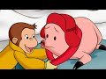 Jorge ayuda a un cerdo | Jorge El Curioso En Español