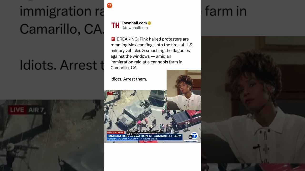Sign the open letter and let ICE agents know you stand in solidarity with them. Link in bio.