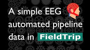 A FieldTrip EEG automated processing pipeline