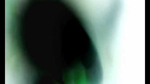 Acrifolia - Silent Satori