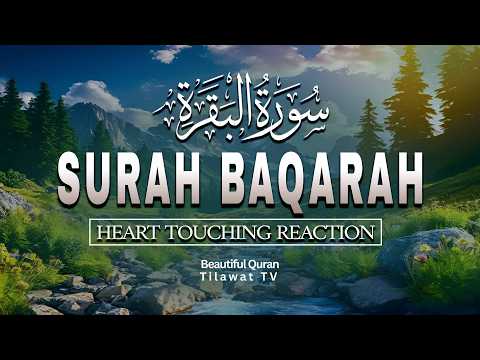 Surah Al Baqarah Full سورة البقرة | Powerful Ruqyah for Protection, Rizq & Barakah | Alaa Aqel