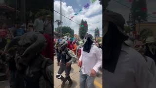 Fiestas de san Antonio en Michoacán