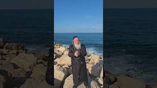 הכנסת ספר תורה #הרבגוטליב #תורה #יהדות #שמחתתורה #ביתכנסת #ספרתורה